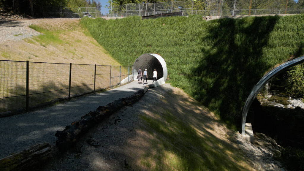 Wide view of trail tunnel with greened in headwall